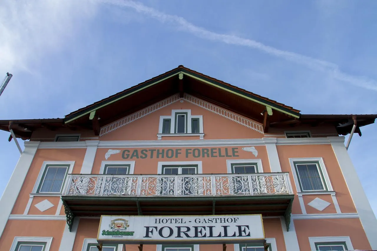 Guest house Hotel Gasthof Forelle Siegsdorf