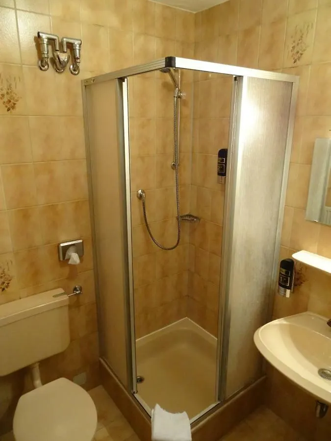 Hotel Gasthof Forelle Siegsdorf Guest house